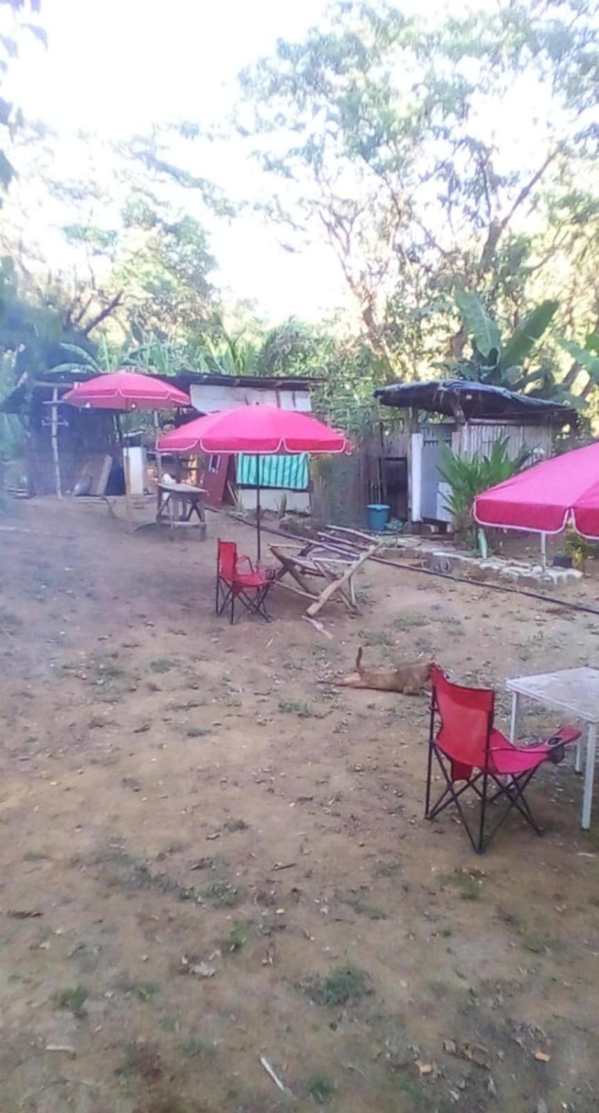 Eastdee Camping Ground Lidlidda Esterno foto